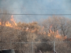fire-5 fire-5