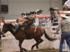 rodeo1 rodeo1