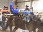 rodeo12 rodeo12