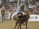 rodeo13 rodeo13