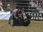 rodeo14 rodeo14