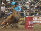 rodeo15 rodeo15
