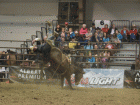 rodeo3 rodeo3