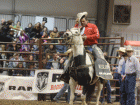 rodeo4 rodeo4