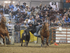 rodeo5 rodeo5