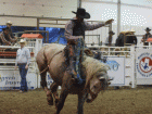 rodeo7 rodeo7