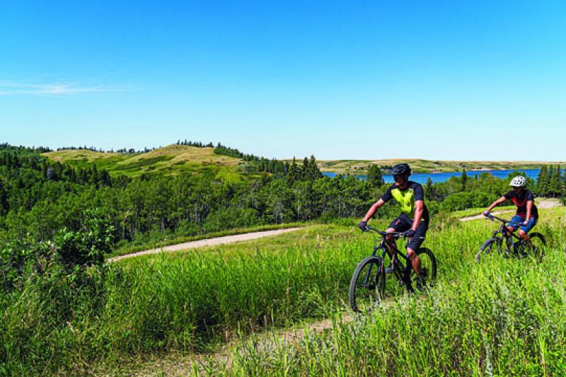 Nose hill 2024 bike trails