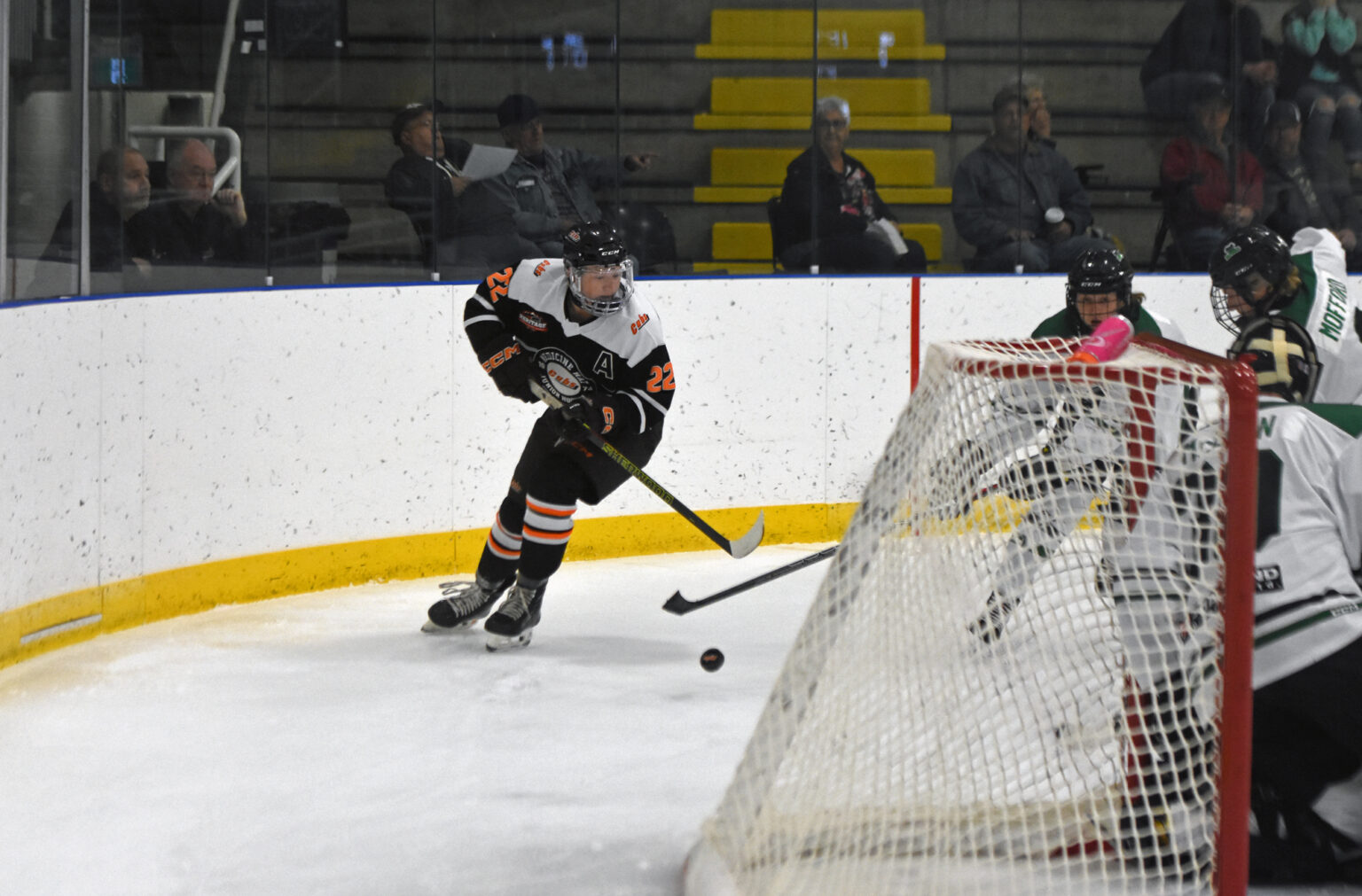 Hjhl Standings